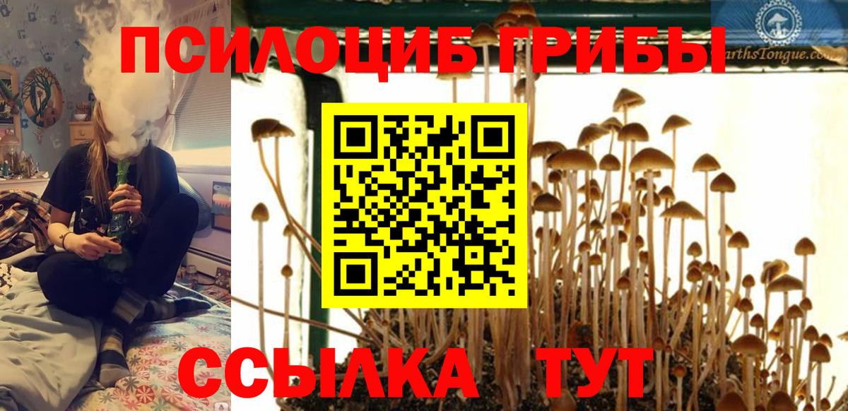 Псилоцибиновые грибы ЛСД Когалым